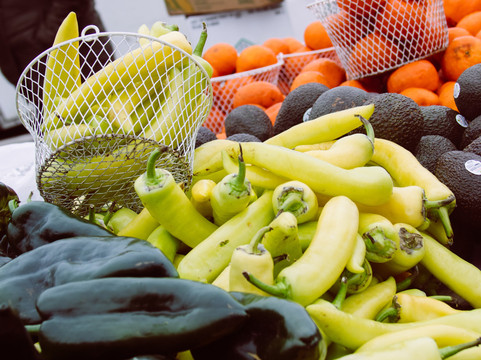 Trader's Village-大草原城必去景点