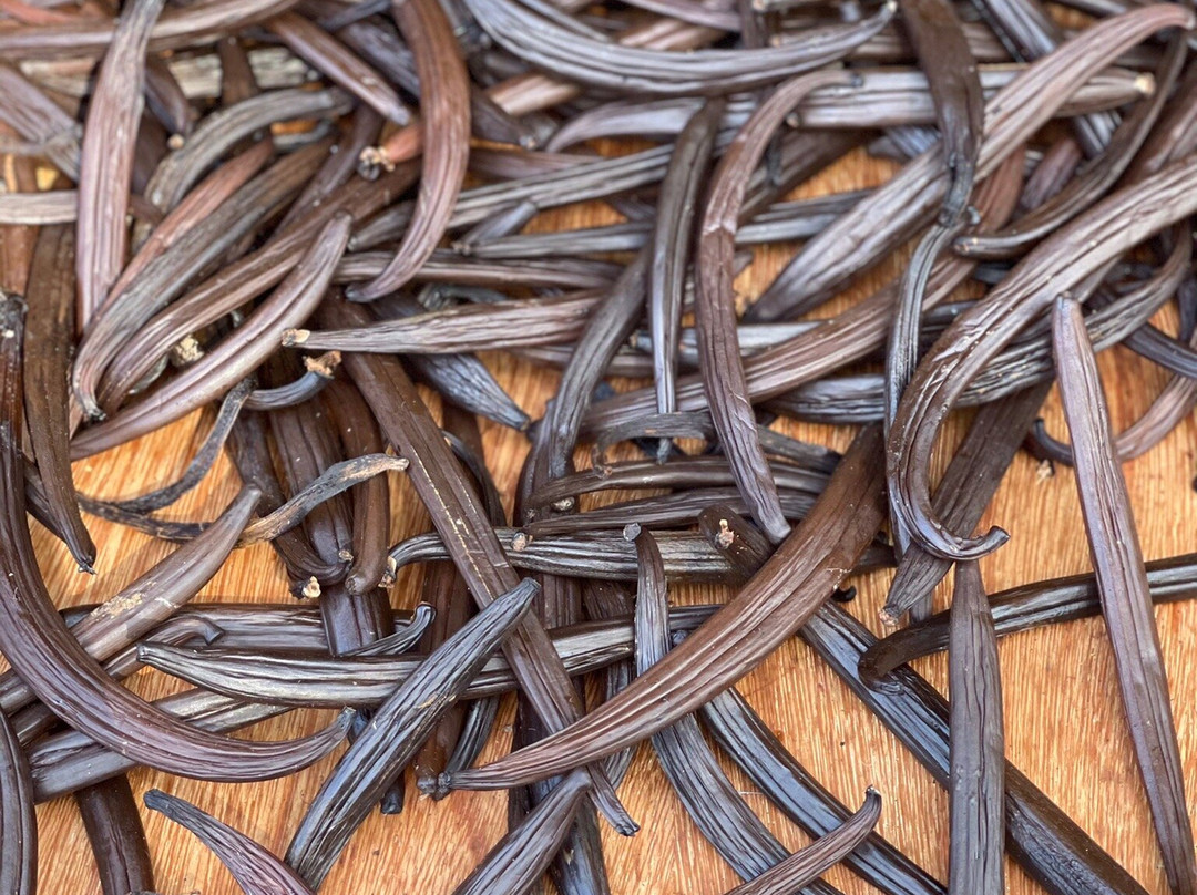 La Vanilleraie de Fety-Pointe-Noire必去景点