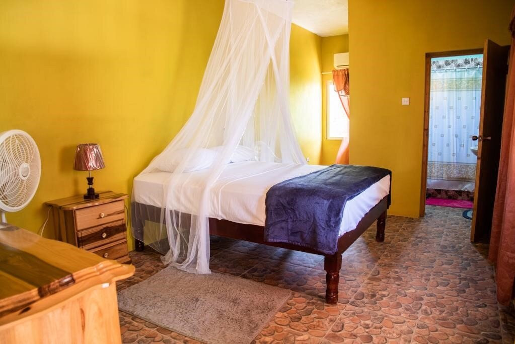 Diaspora Psychedelic Society-瑰宝滩必去景点