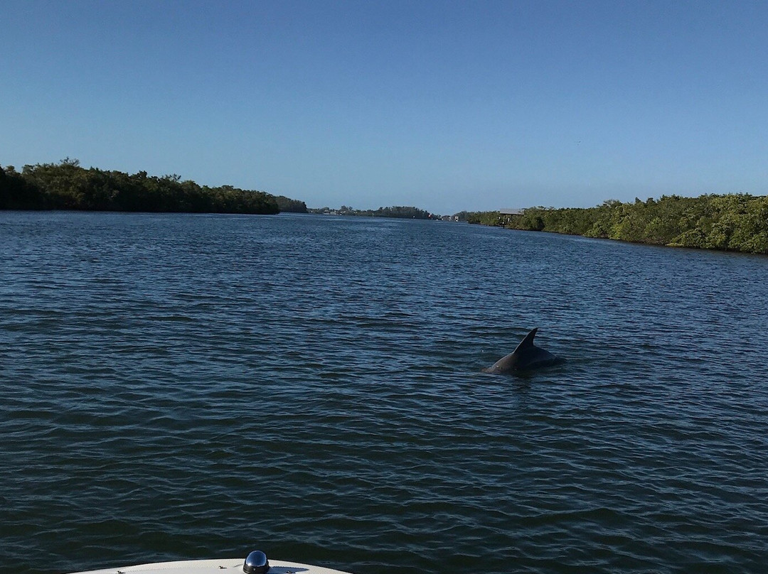 Siesta Key Boat Charters-西耶斯塔岛必去景点