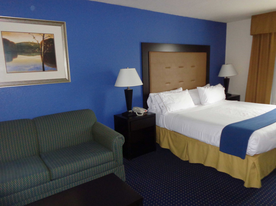 Holiday Inn Express & Suites New Buffalo, Mi By IHG主图