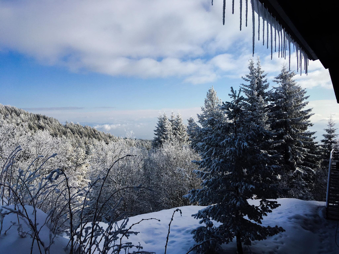 Hotel Moreni & Spa主图