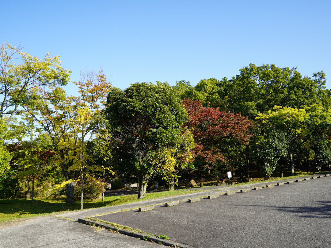 Imoriyamashiseki Park-圣笼町必去景点