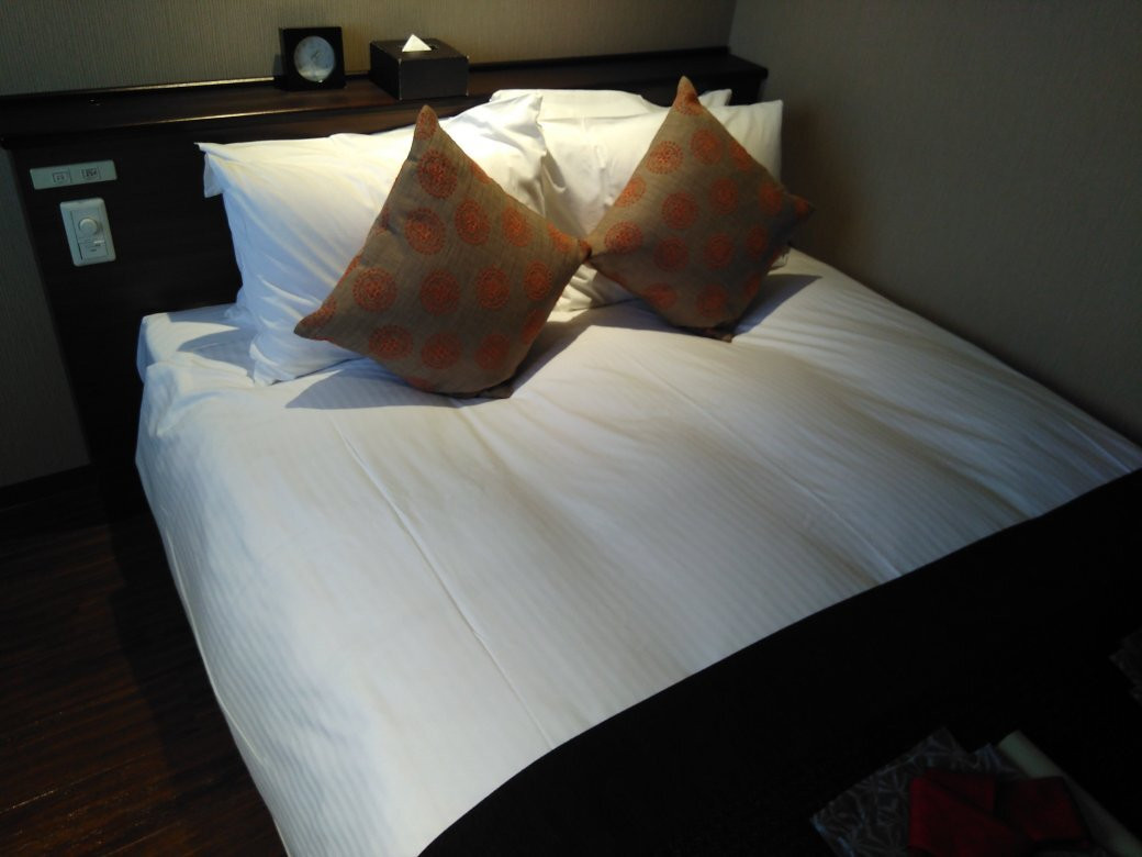 Hikone Castle Resort & Spa主图