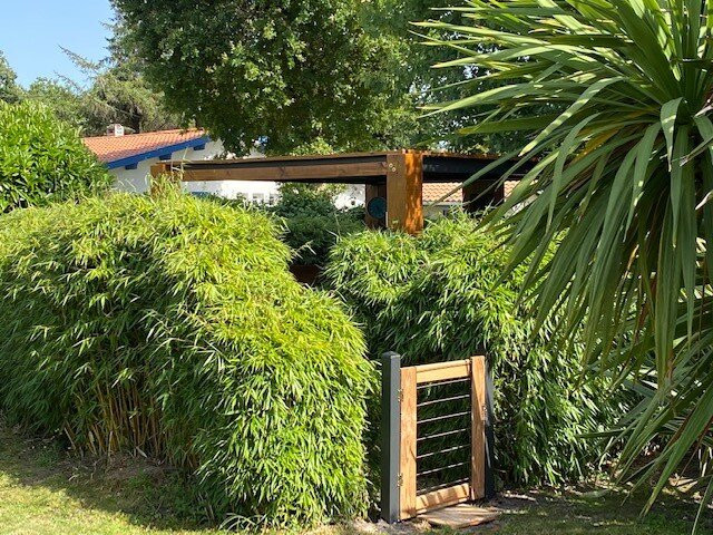 Hotel du Porge主图