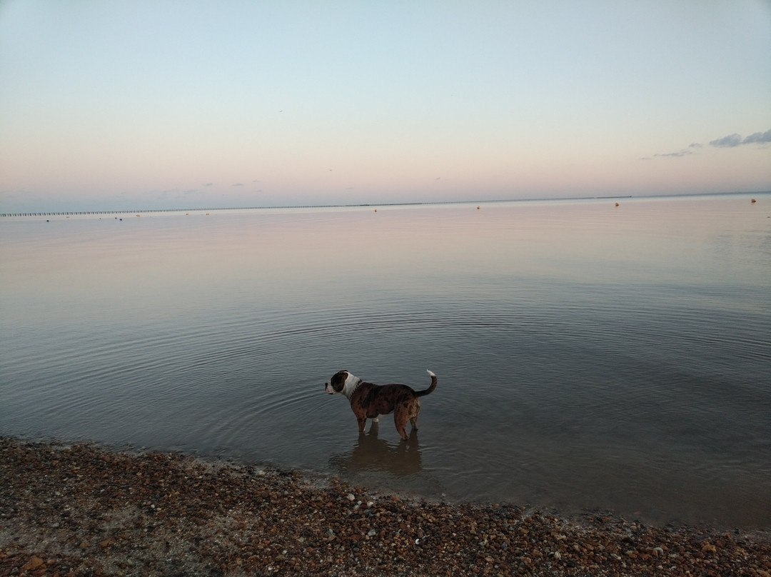 Shoebury East Beach景点图片