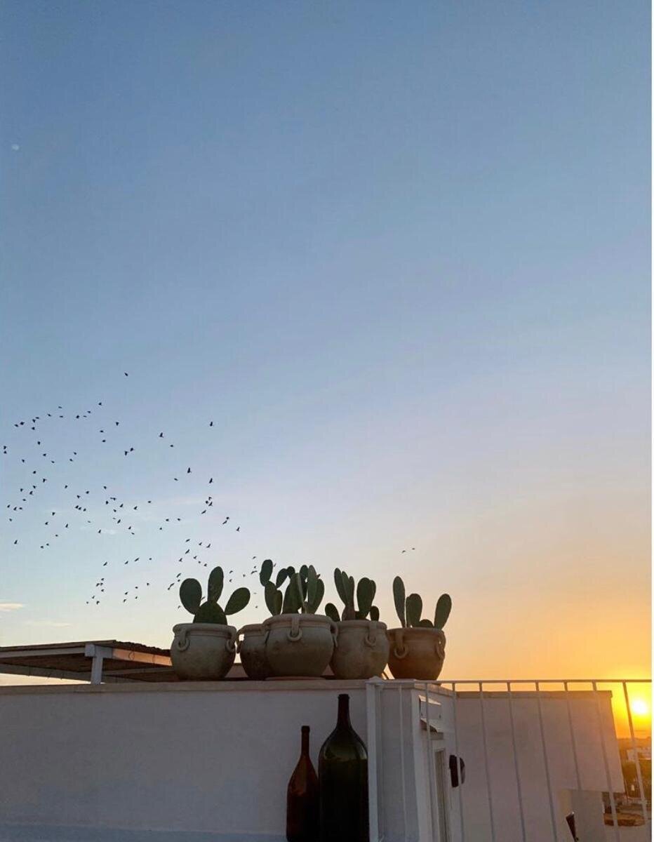 Palais Gentile-portrait