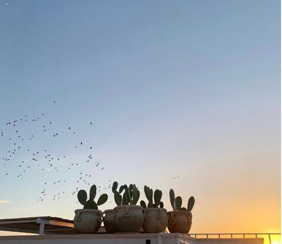 Palais Gentile主图