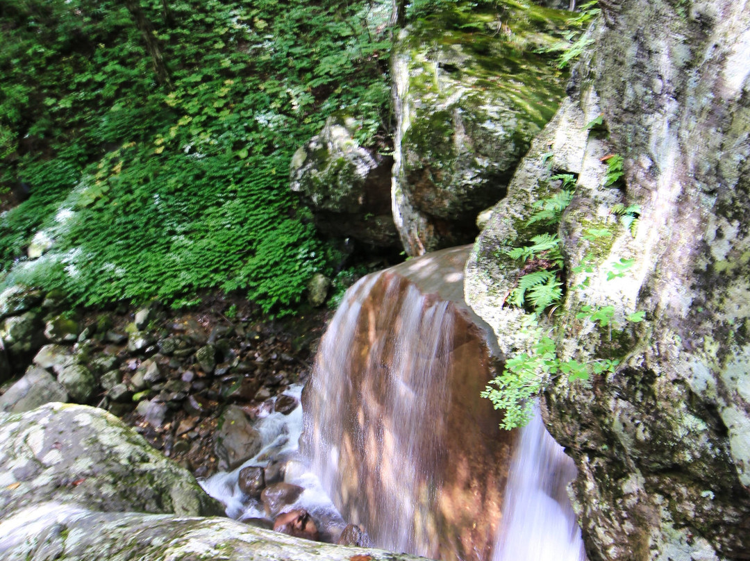 大玉村旅游攻略图片