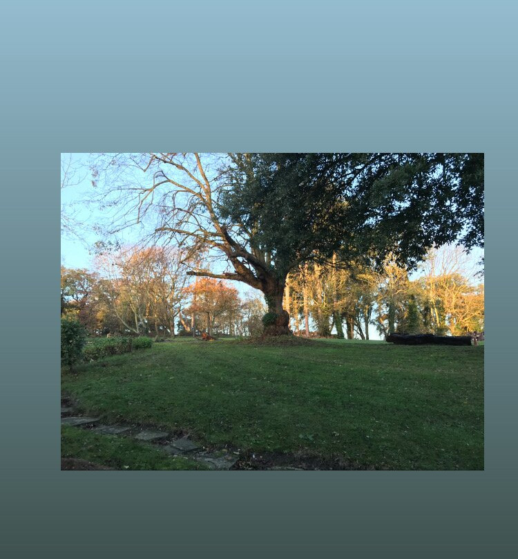 The Dales Country House Hotel主图