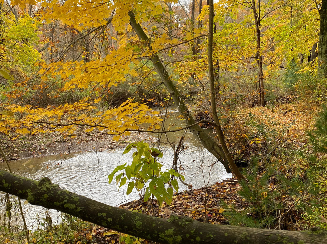 Gully Brook Park景点图片