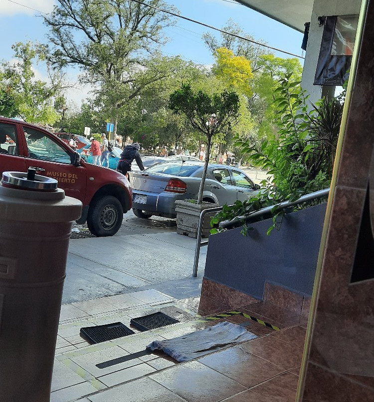 Hotel del Parque主图