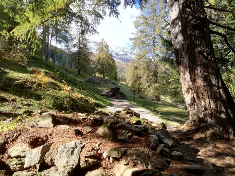 Parco Nazionale Dello Stelvio - Centro Visite di Rabbi景点图片