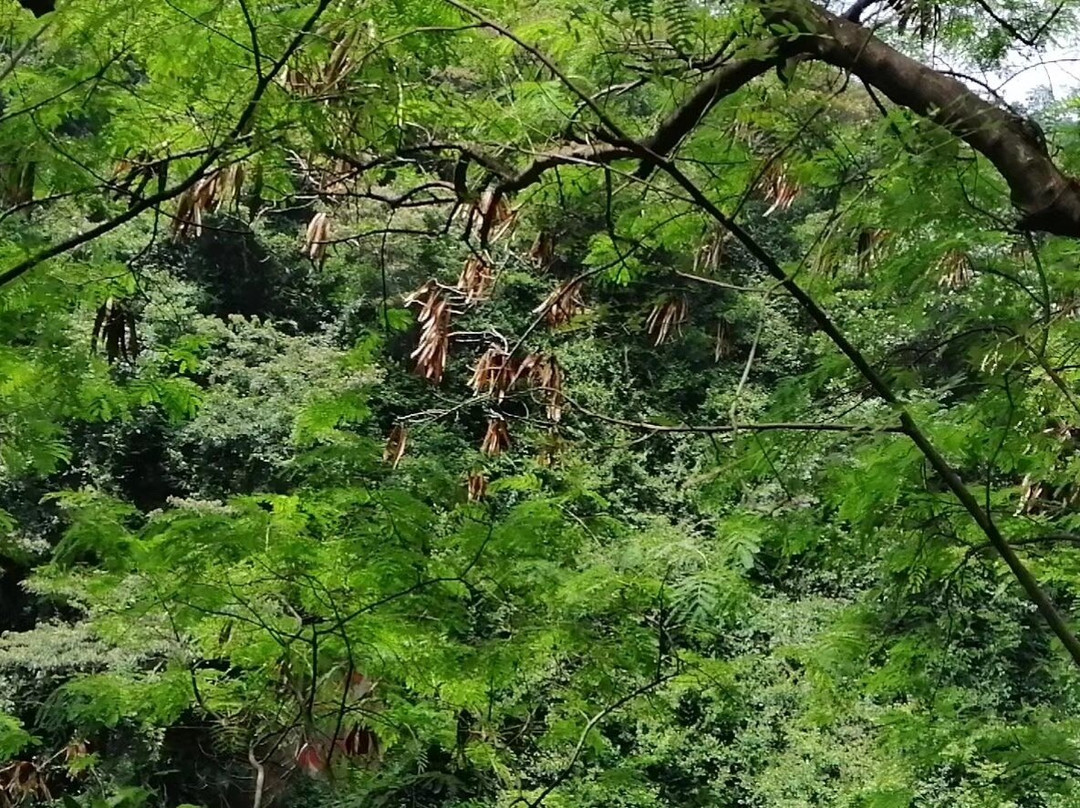 清远太和古洞-清新县必去景点