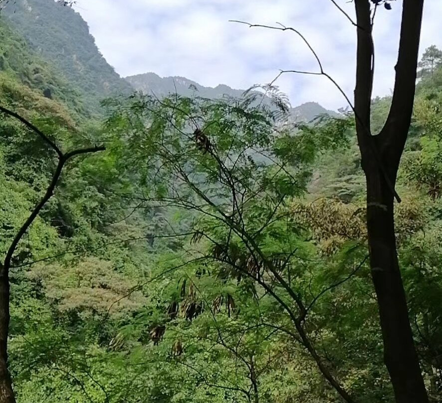 清远太和古洞-清新县必去景点