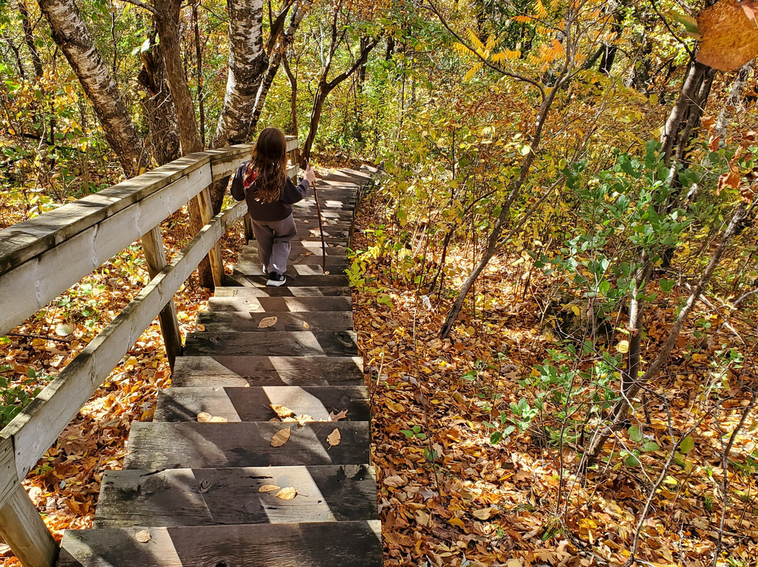 John Latsch State Park-威诺纳必去景点