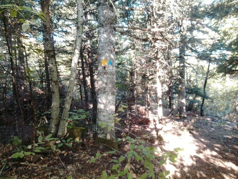 Drasiko Chorio Livadaki主图