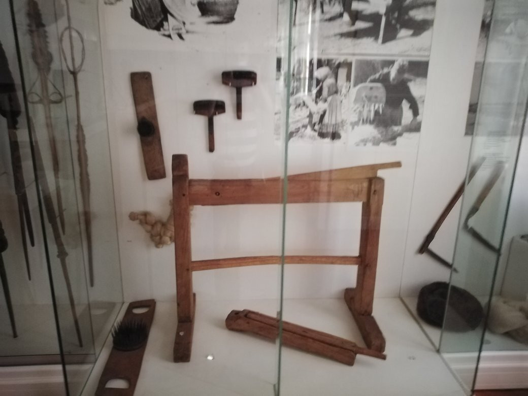 Museum of Vojvodina景点图片