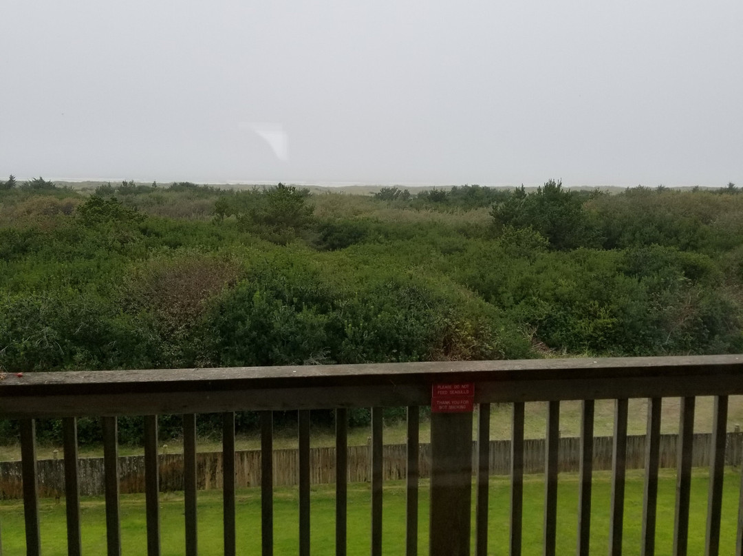 Polynesian Resort主图