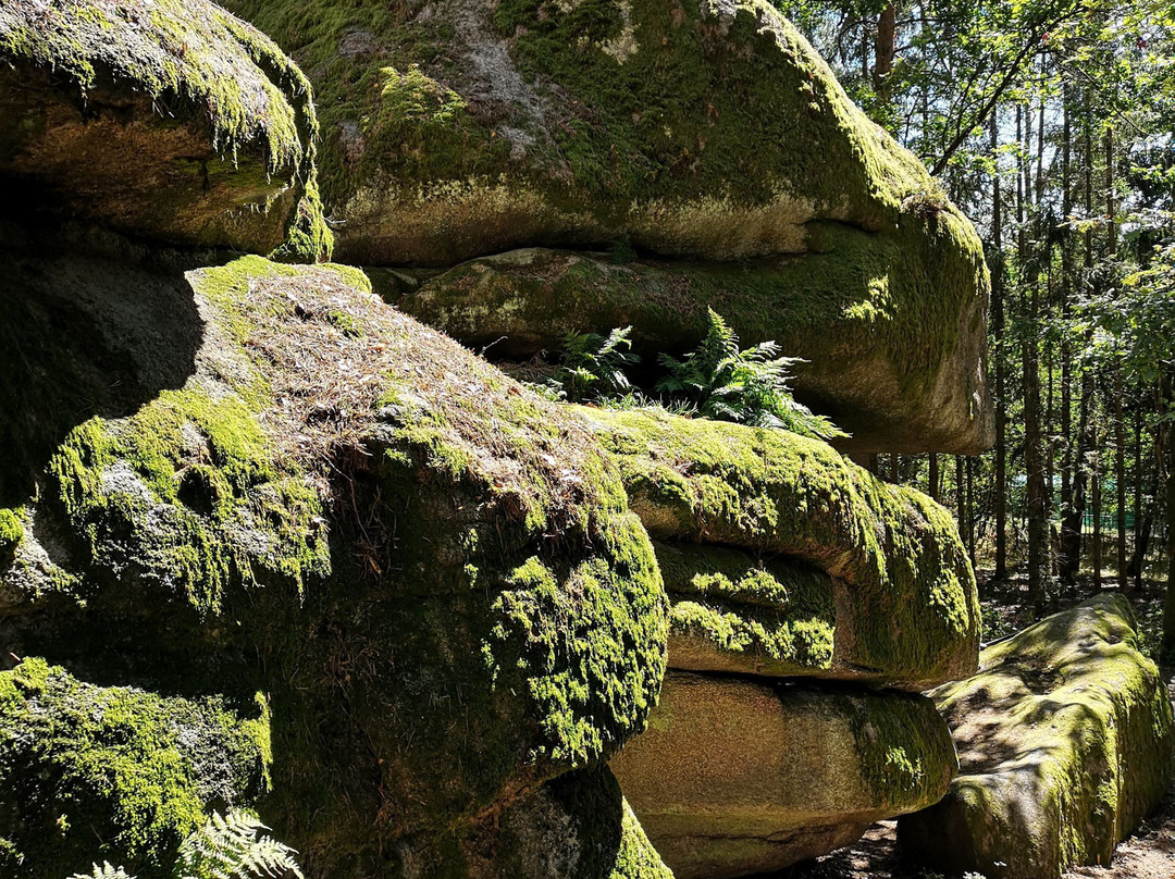 Naturpark Blockheide-Gmuend必去景点