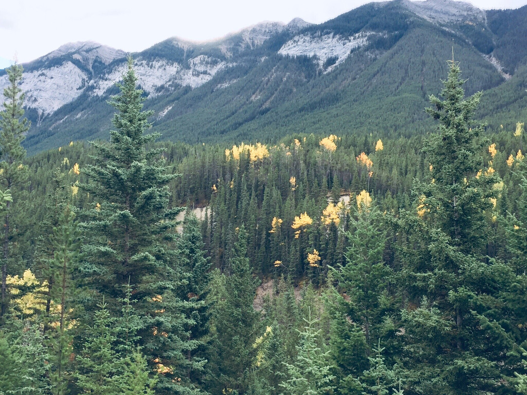 Spray Lake-卡那那斯基斯必去景点