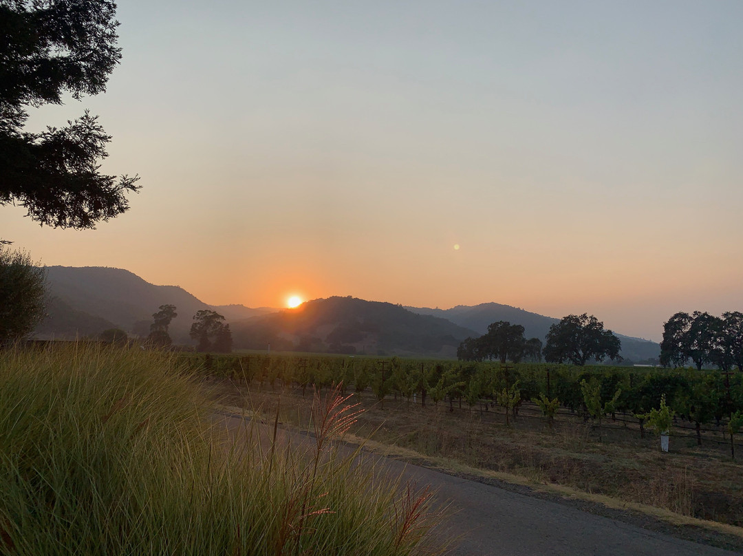 The Setting Inn Napa Valley主图