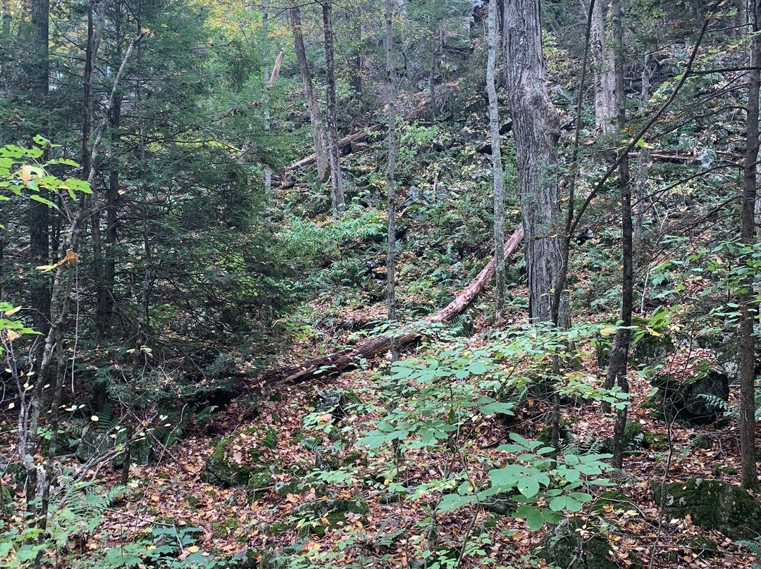 George C. Waldo State Park-绍斯伯里必去景点