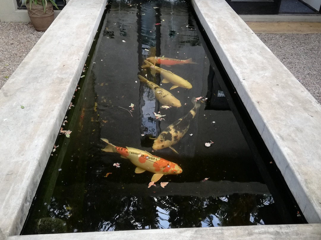 特里默克海洋酒店主图