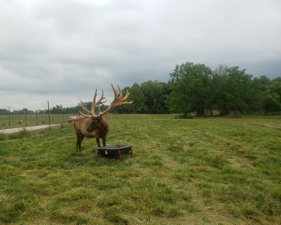 Quiet Harmony Ranch-New Paris必去景点