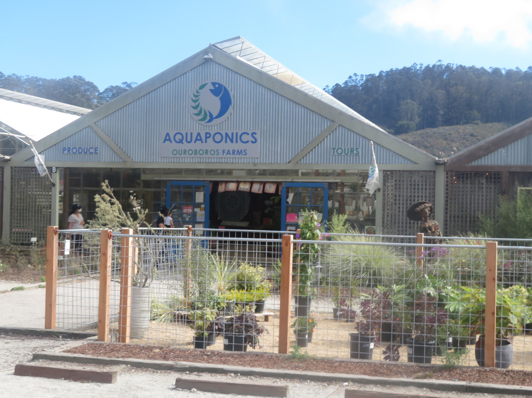 Pastorino Farms-半月湾必去景点