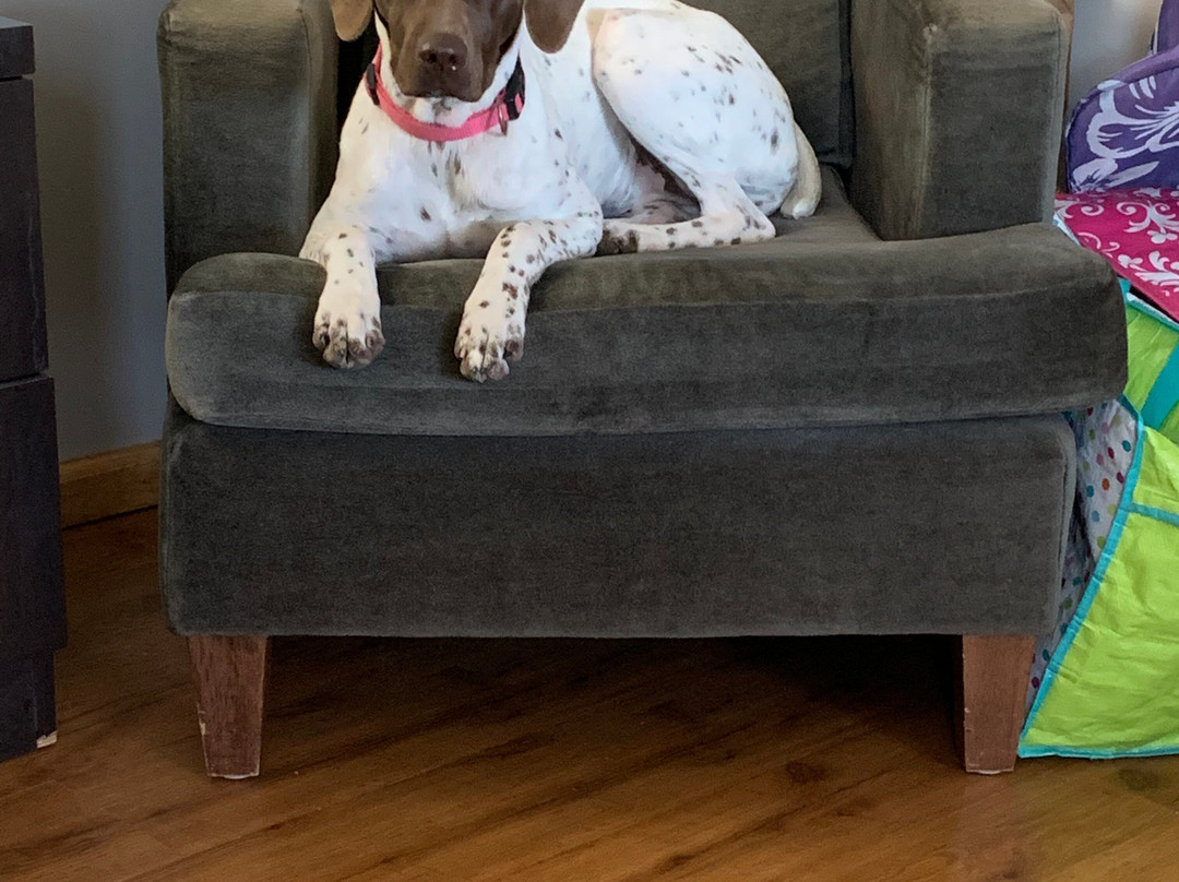 Erie-O Motel & Marina主图