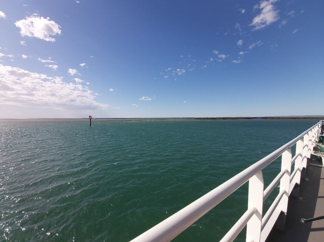 Dolphin Explorer Cruises-Port Adelaide必去景点