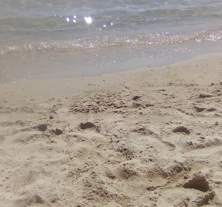 Alykes beach-Ammouliani必去景点