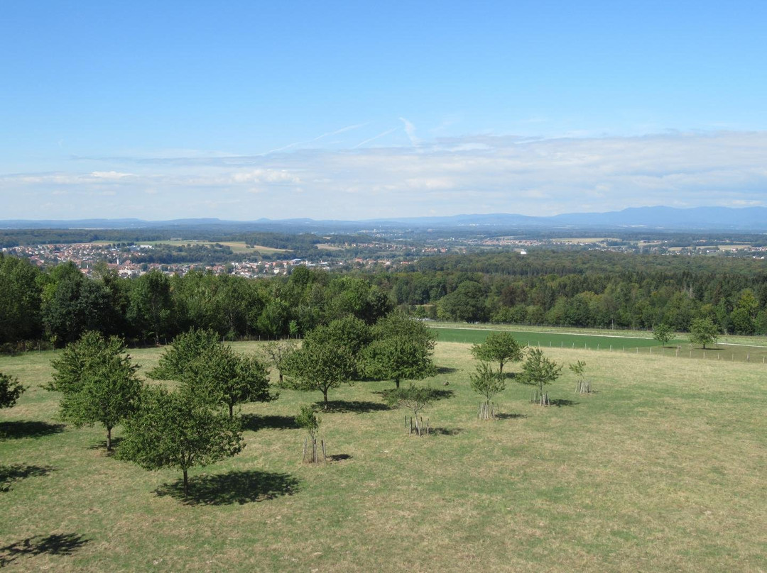 Tour Panoramique Mont Renaud景点图片