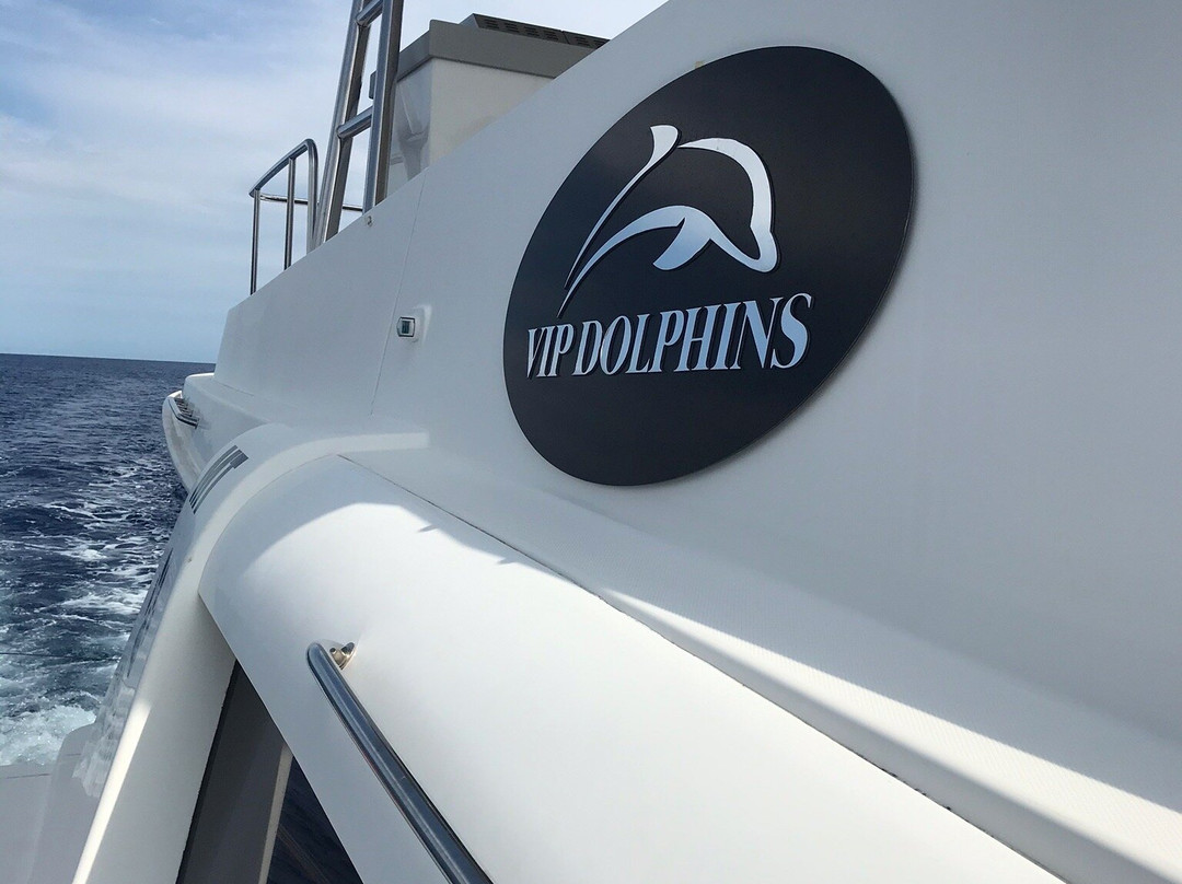 Vip Dolphins-沙尔必去景点