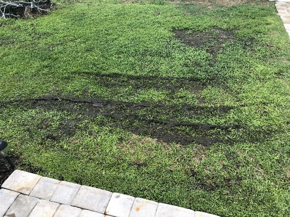 MiraBay Market-Apollo Beach必去景点