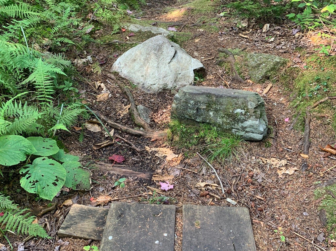 Woodford State Park-Woodford必去景点