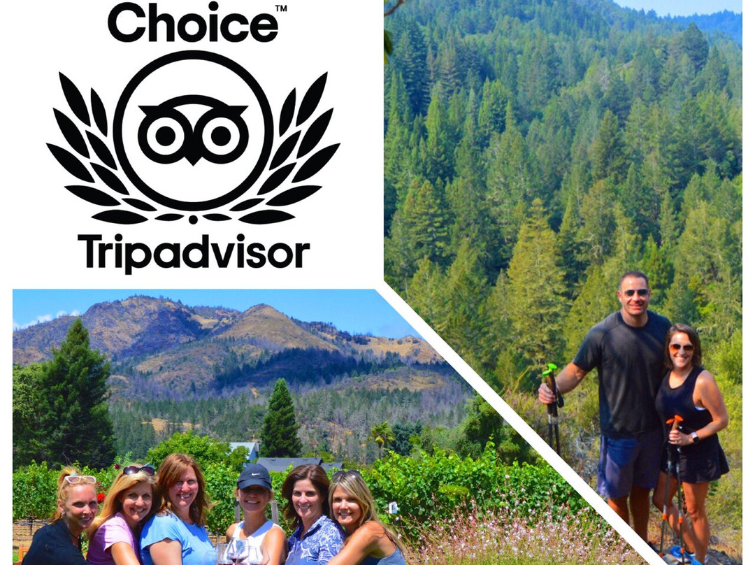 Active Wine Adventures-纳帕必去景点