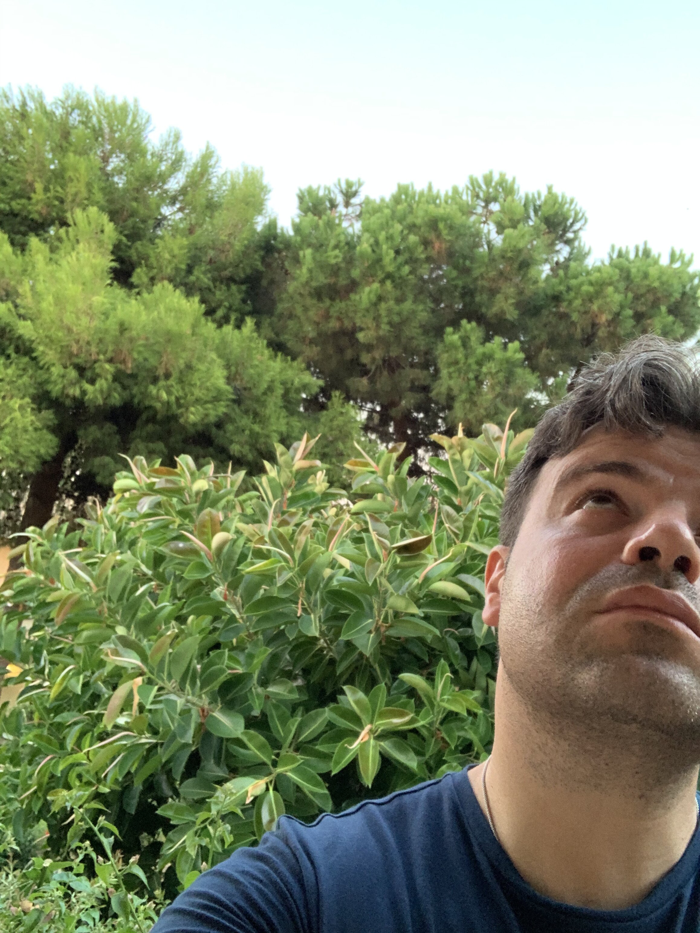 BV Borgo del Principe-浴室