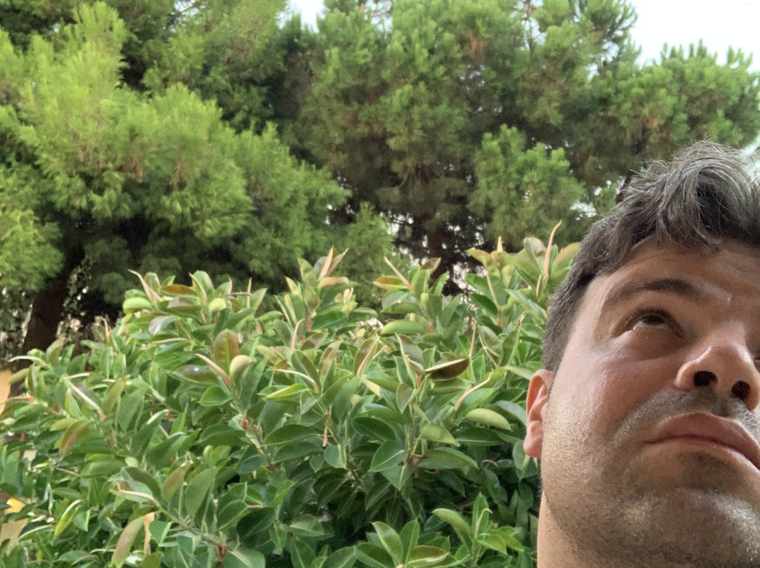 BV Borgo del Principe主图