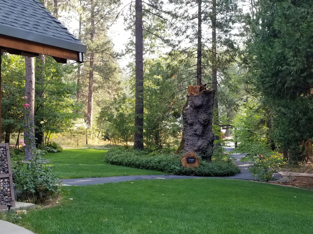 Arnold Black Bear Inn主图