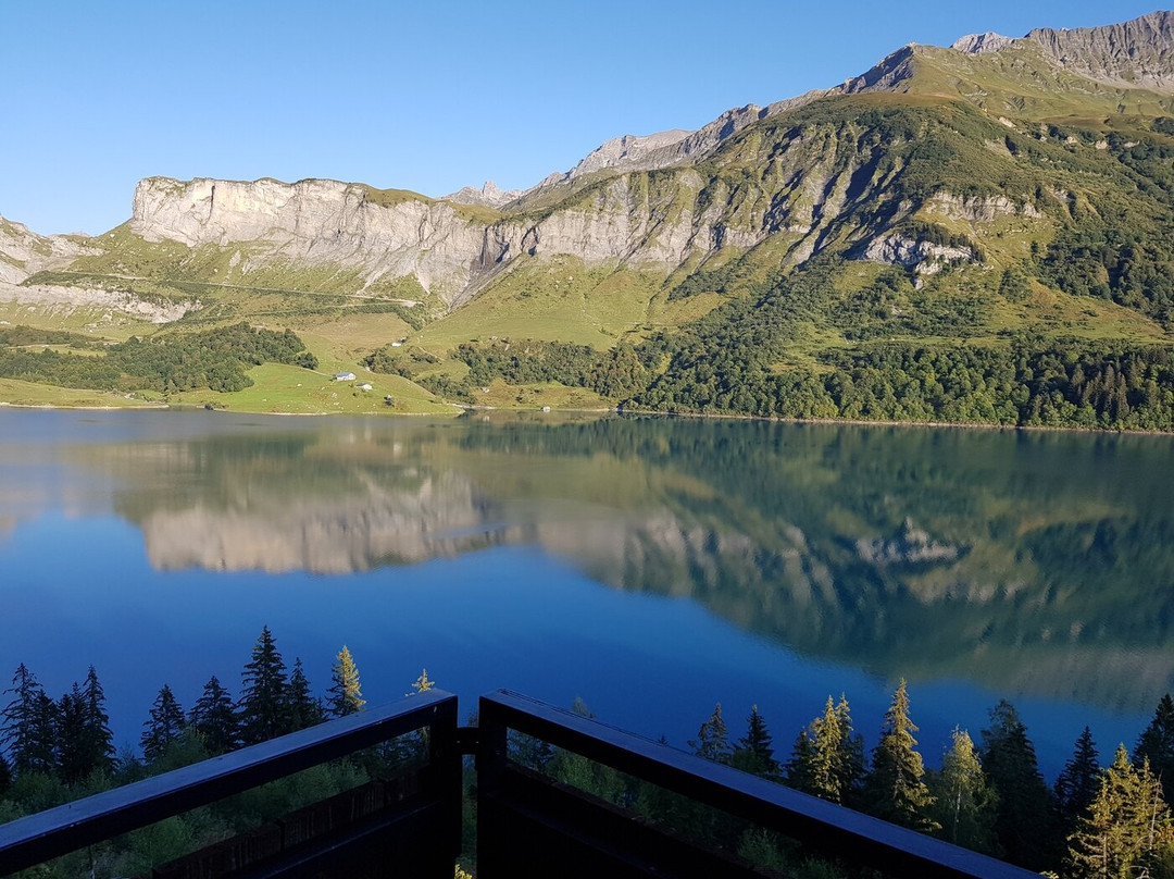 Beaufort酒店住宿-Chalet de Roselend