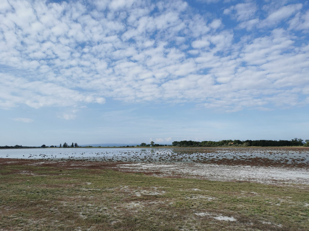 Nationalpark Neusiedler See – Seewinkel-Illmitz必去景点