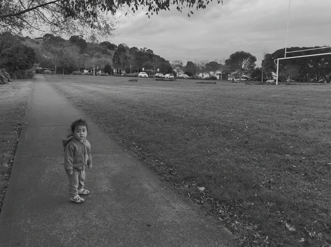 Mount Albert - Owairaka Domain-奥克兰必去景点