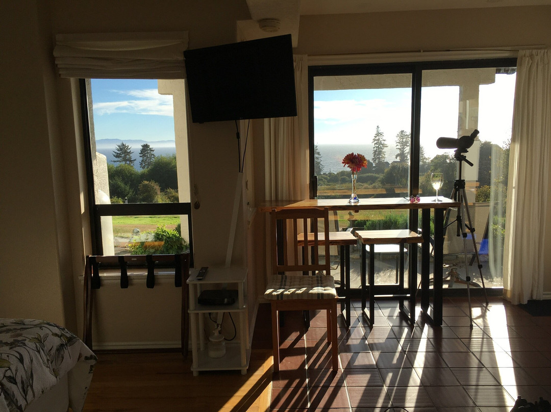 Gordon's Beach Farmstay主图