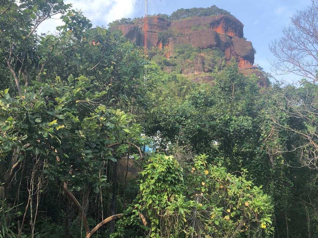 Wat Jetiyakhiri (Wat Phu Thok)景点图片