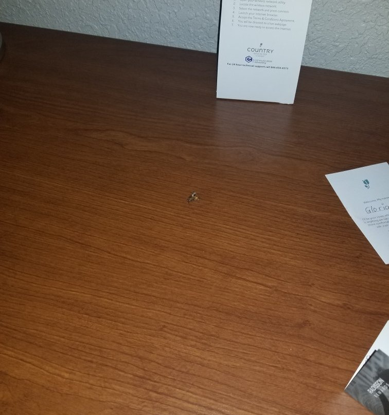 Country Inn & Suites by Radisson, Valparaiso, IN主图