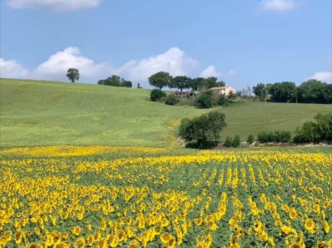 Le Ghiande Bed & Breakfast主图