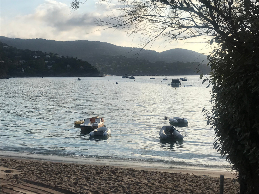 Plage de Pramousquier-莱拉旺杜必去景点