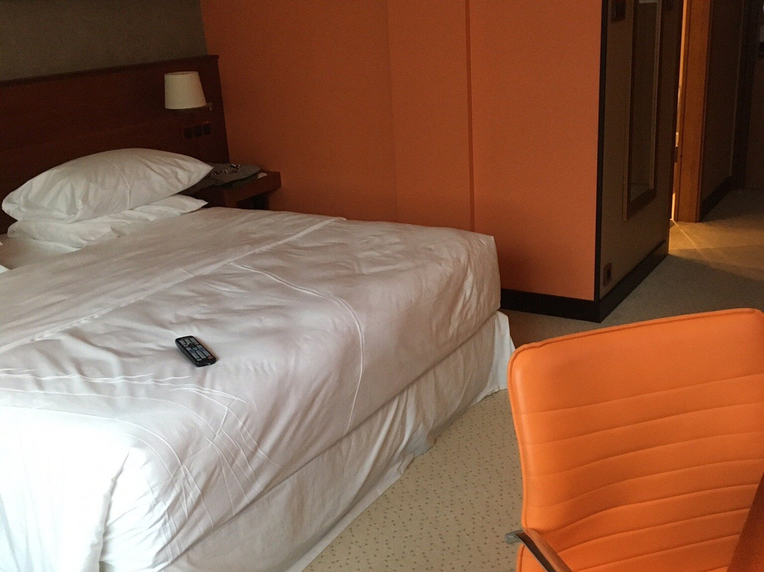 Four Points By Sheraton Kecskemet Hotel & Conference Center主图
